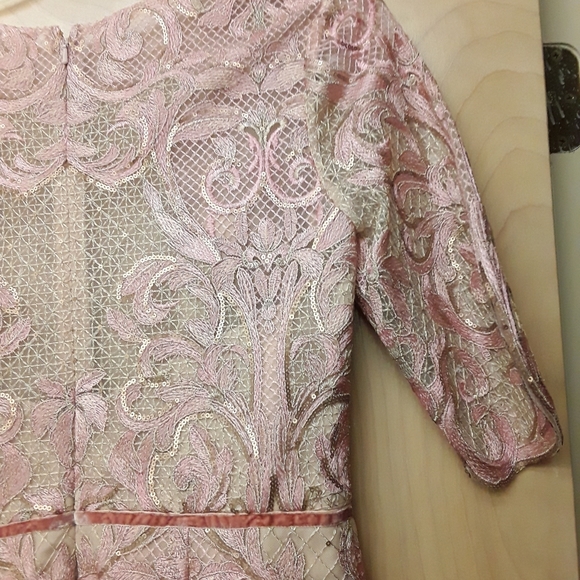 Marchesa Notte Blush Pink Lace Embroidered Dress New Tags Sz 6 - Picture 8 of 16